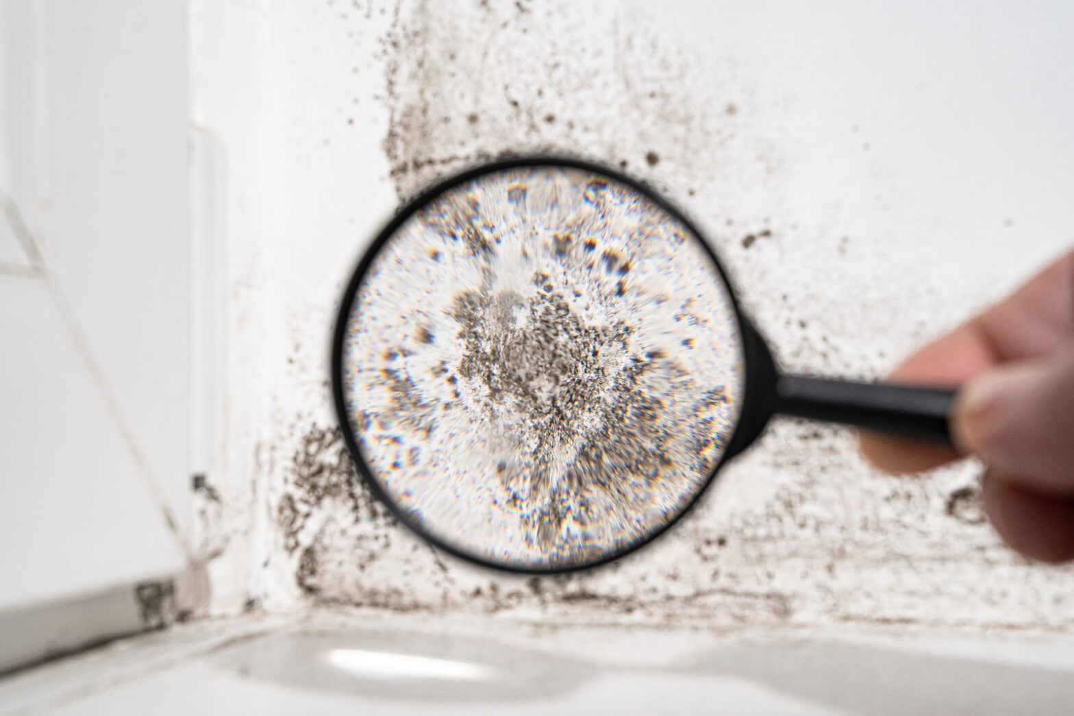 Top 10 Acts That Lead To Mold Outbreaks