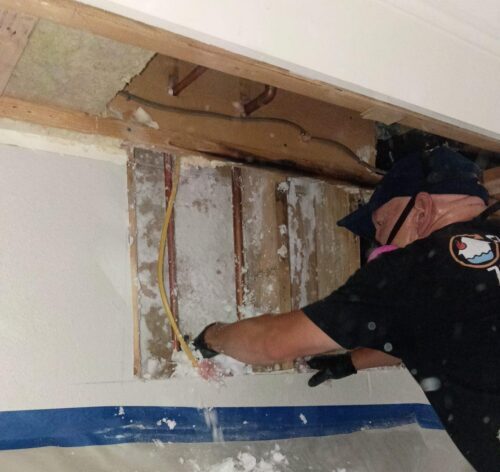 water damage restoration Grand Junction CO